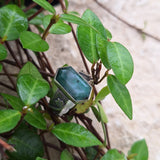 Creeping Vines Ring