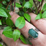 Creeping Vines Ring