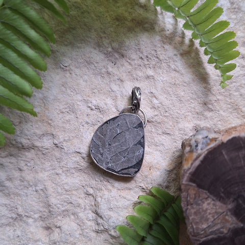 Ancient Ferns Pendant (small)