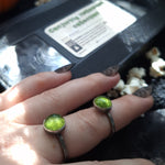 Viewer Beware Rings - ready to ship